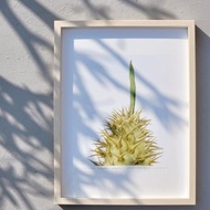 安博棒槌 | 數位版畫