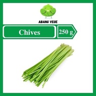 Dragon Chives 青龙菜 Sayur Naga Hijau 250g +- Cameron Highlands Fresh Vegetables