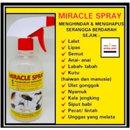 MIRACLE SPRAY (Pembasmi serangga) hapuskan semut lipas pijat anai-anai kutu labah-labah siput babi n