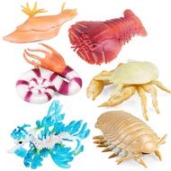 Simulation Hanwuji Undersea Ocean Software Arthropod Animal Model Slug Conch Conch Conch Ammonite To