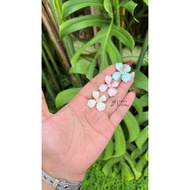 A120 Kalista Resin Earrings