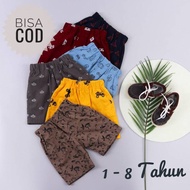 Pattern Short Pants Toddler Boys Shorts 12345678 Cool and Smooth Years