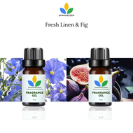 Fresh Linen & Fig Fragrance Oil 10 ml หัวน้ำหอม กลิ่น ดอกลินินสด & ลูกฟิก มะเดื่อฝรั่ง