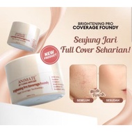 ANILESS foundation skincare Hybrid 2in1 ns