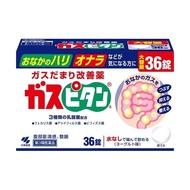 ガスピタン36錠