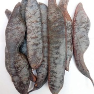 Wild Soap Horn Large Soap Horn Long Soap Horn Soap Pod Powder Natural Shampoo Anti-shedding Powder 0