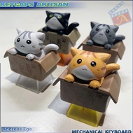 KEYCAPS ARTISAN BACKLIT KUCING DALAM BOX TERBARU