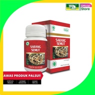Shark's Nest Ant Capsule 60kp Papuan Ant Nest Original