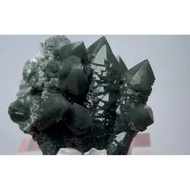 TA9 Live link 100 live link..................