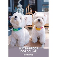 Premium Imported Waterproof Dog Cat Harness Collar - CA1