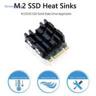 M.2 Solid Disk Radiator M.2 NVME 2230 SSD Heatsink with Thermal Pads SSD Heat Sink for Desktop Compu