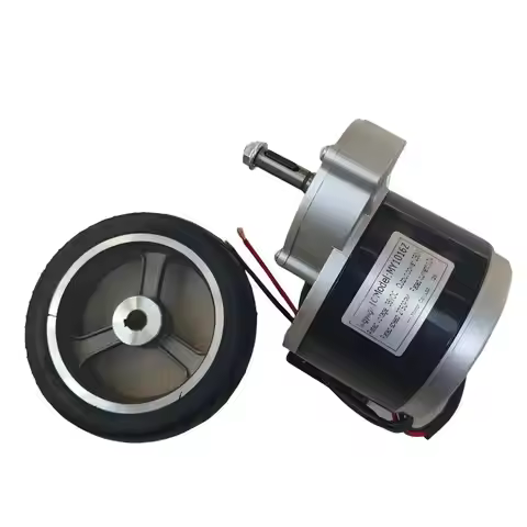 Electric Vehicle Motor DC36V 250W Brushed Motor 10A 2750RPM DC Motor 40mm Long Axis Brushed Gear DC 