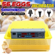 Tools Mesin Penetas Telur Otomatis 56 Telur, Mesin Penetas Telur