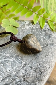 大自然的原創 & 一顆珊瑚蟲小化石 一物一圖