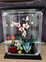 蘭花 & 多肉植物 LEGO 連展示盒 - Orchid 10311 & Succulents 10309