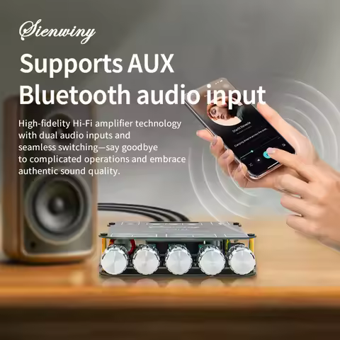 YS-MT21 Digital Audio Power Amplifier Module BT5.0 Stereo Audio Amplifier Car Audio BT Amplifier for