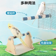Parrot stand, frosted perch for fixed-point training, multifunctional interactive parrot toy for def