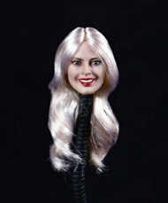 1：6 Harley Quinn 小丑女 純金髮 植髮版 頭雕 合適 hottoys phicen body figure 自組