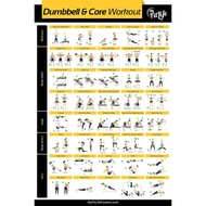 Gym Dumbbell and Core Workout Poster Guide with 40 Exer Gym Workouts Women Gym Workout Poster