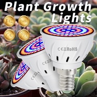 E27 Led Grow Bulb Full Spectrum UV Lamp B22 Hydroponic Growth Light  Plant E14 Flower Seedling GU10 