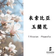 Ethiopia Banchi Maggie Flower Geisha Washed Green Coffee Beans/Cooked Beans|Bean Mulberry Bean