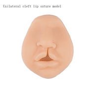 Cleft lip teaching model, rabbit lip model, medical students oral surgery unilateral bilateral cleft