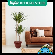 Ready Stock | Baba Official | Baba TN-3467/3468/3469/3470/3471 Flower Pot [Pattern Design]