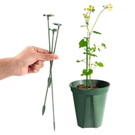 Plant Pot Support Holder Holder / Plant Single Pole Support Stake, Flower Support Pole / Special Holder for Phalaenopsis