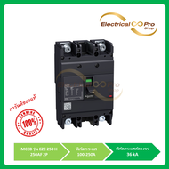 Schneider(Molded Case Circuit Breaker (MCCB)) รุ่น EZC 250H เซอร์กิต เบรกเกอร์ ชนิด 2P 36kA พิกัดกระ