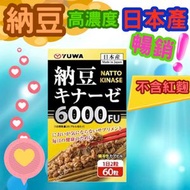 倍效降醇 日本高濃度活性納豆激酶 6000FU 不含紅麴 (60粒腸溶性軟膠囊) / (平行進口)