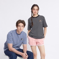 BODY GLOVE &amp; FRIEND COLLECTION Stripe T-Shirt 2024 - เสื้อยืดลายทาง รวมสี