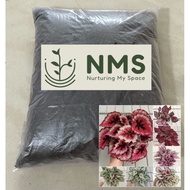 NMS/【READY USE】Imported Plant Soil(1+-KG/2L)Suitable for Begonia/Succulent/Rose/Anthurium/Fern/Carni
