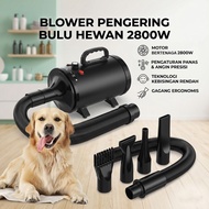 Cat Dog Hair Dryer for Pets Fast Blow 2800W - ZF-YC-C-04