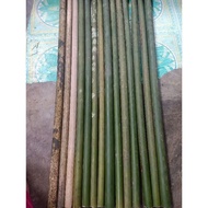 Bambu tamiang buat bahan suling 10 batang panjang 60cm