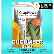 (100 GRAM) Biji Benih Timun DC1119 CROP POWER F1 Hybrid Cucumber Seeds  黄瓜种子 DC 1119