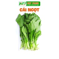Choysum seeds are easy to grow and easy to grow - h2t farm
