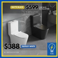 Eaco T933 Rimless Vortex Tornado Flushing Dual Flush Soft Closing Seat