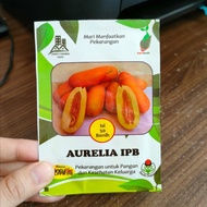 benih timun suri aurelia IPB - benih timun mas