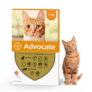 Advocate Cat Anti Flea Drops under 4kg 0.4ml