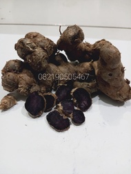 Umbi Kunyit Hitam Asli 1KG