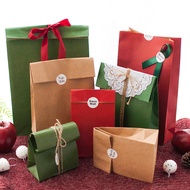 Kraft Paper Christmas Green Holiday Flat Gifts Bag Snake Fruit Safe Gift Storage Organizer Festive Solid Color Bags Birthday