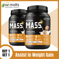 Ozmolts Mass Gainer Protein Powder Rapid Recovery Post Workout Protein Supplement for Weight Gain