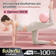 DayWalkers Pilates Ball 25cm Yoga Fitness Size 25cm