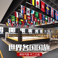 20262026All National Flags Small Flags World National Flags Ten Thousand Flags Bunting String Flags 