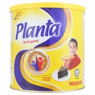 Planta Marjerin 2.5KG