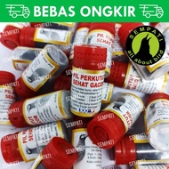 -beli lokal // pil perkutut gacor jamu vitamin khusus burung perkutut