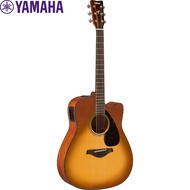 Yamaha FGX800C Acoustic Guitar Sand Burst