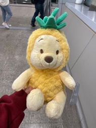 香港迪士尼樂園正版菠蘿頭套小熊維尼winnie the Pooh 公仔