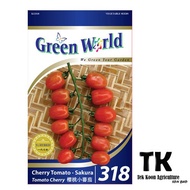 Cherry Tomato - Sakura | Tomato Cherry 樱桃小番茄 GW318 Bernih tomato cherry