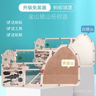 Ant Nest Large Nest MZ3D